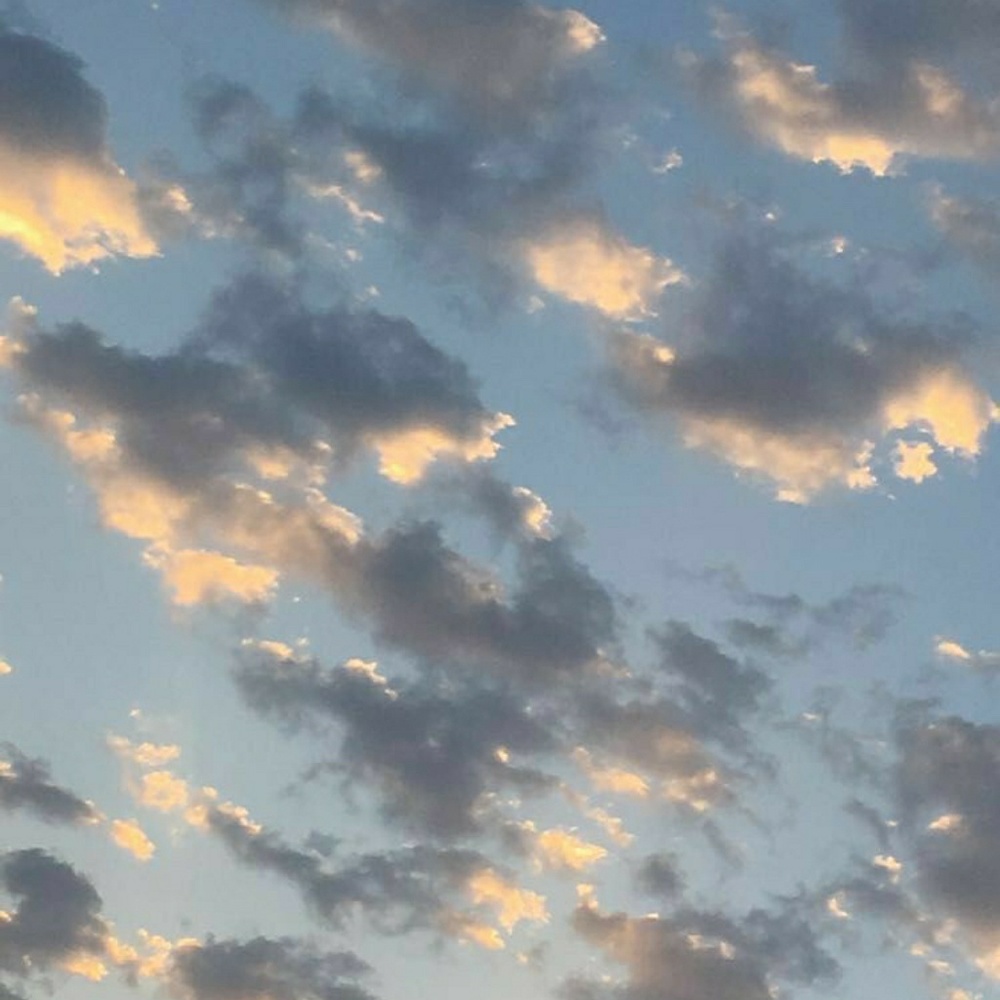 Meet your Posher, Kye